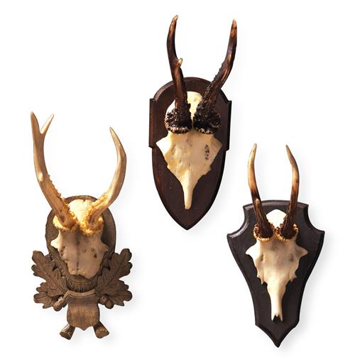 antlers