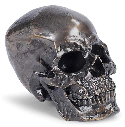 skull