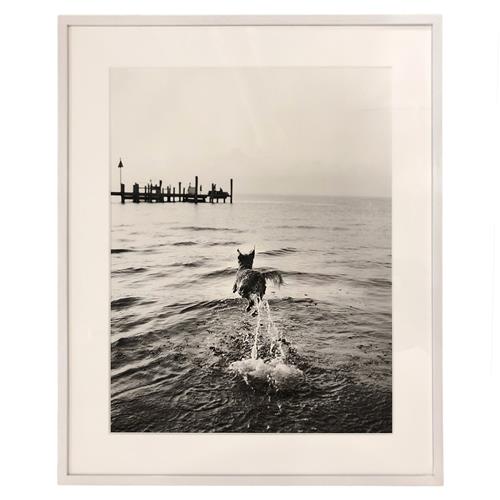 framed photo of dog