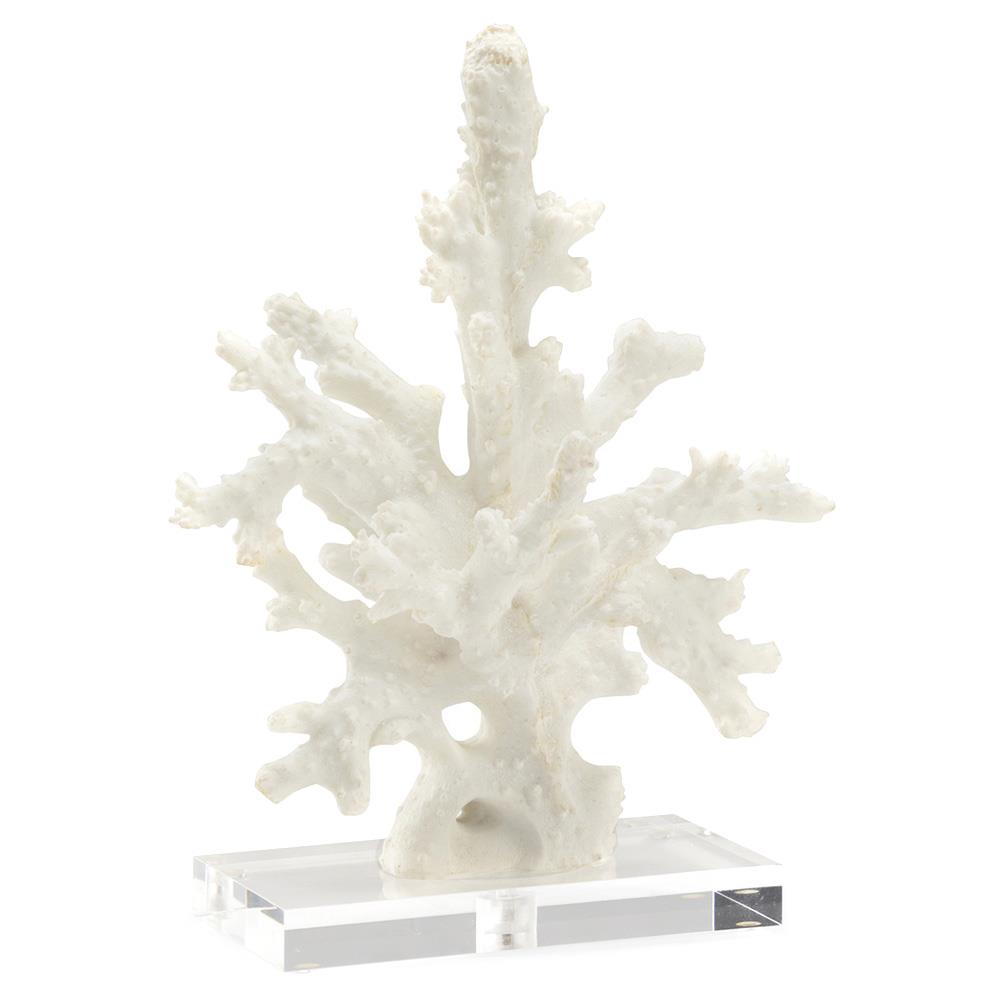 coral