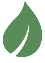 Eco-Friendly Icon