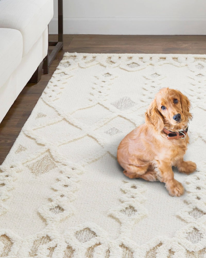Easy Care Rugs