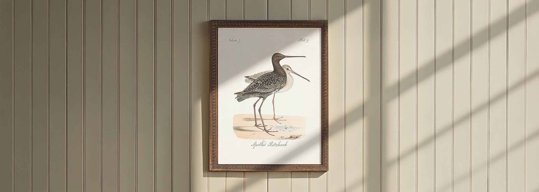 Animal & Nature Wall Art LookBook